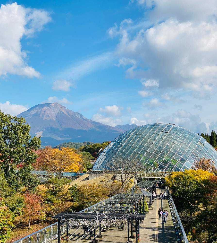 2021 フラワーイルミネーションinとっとり花回廊|🍀GreenSnap 2021 フラワーイルミネーションinとっとり花回廊|🍀GreenSnap