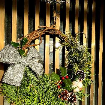 クリスマスホーリー♡の画像 by れたぽんさん | 玄関と藤蔓と松ぼっくり☆とヒバのリースとクリスマススワッグとクリスマスホーリー♡