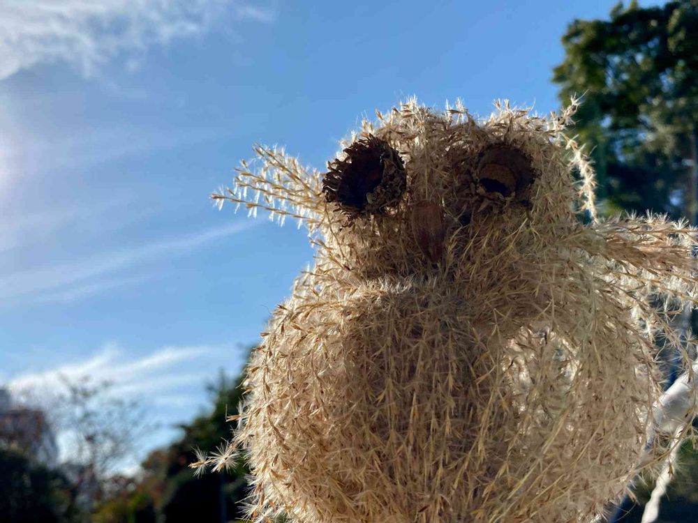 ピノ太郎さんの港の見える丘公園への投稿