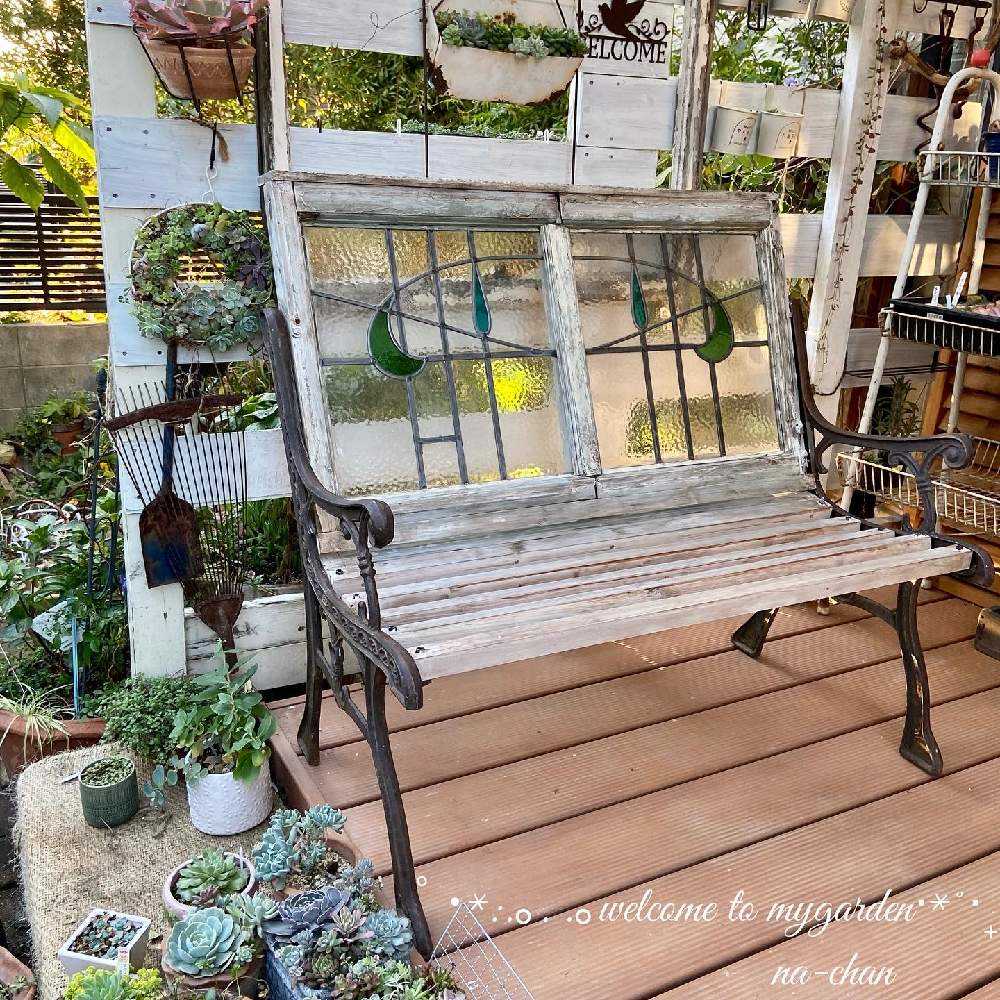 1638229959495_thum_786190_phot