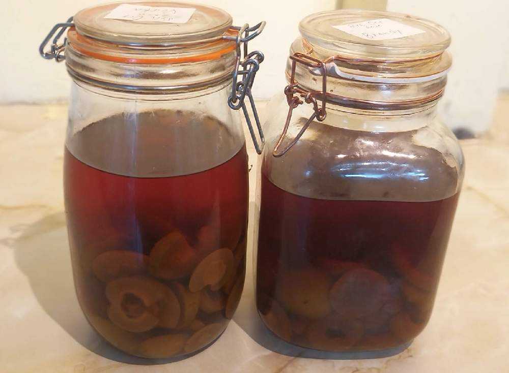 木瓜 ボケ の実を食する 4ways Greensnap グリーンスナップ