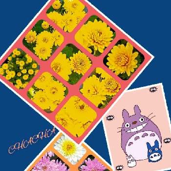 となりのトトロの画像 by CHACHAさん | トトロととなりのトトロと黄色のお花とちっちゃいものクラブと白いお花とピンク色のお花