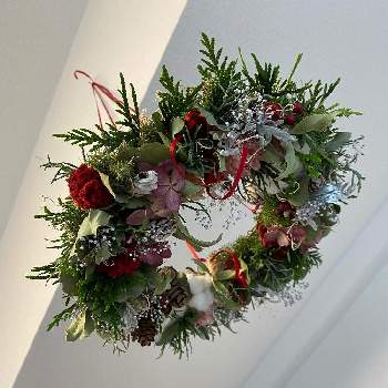 フライングリースの画像 by Plaisir  さん | 壁/天井とクリスマスリースとフライングリースと香りヒバ。