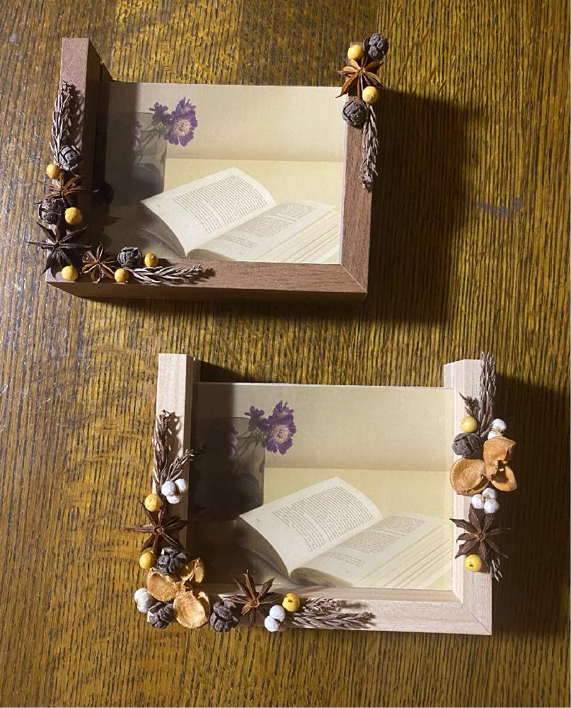 木の実たちの投稿画像 By Kyrtさん インテリアと木の実と季節の花と椿の実 と観賞用と花いろいろと南京ハゼ と白南天 と花のある暮らしと木の実 と季節の花と椿の実 と観賞用と花いろいろと南京ハゼ と白南天 と花のある暮らし 21月12月1日 Greensnap