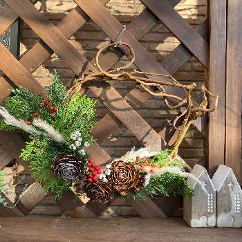 バラぼっくりの投稿画像一覧 Greensnap グリーンスナップ