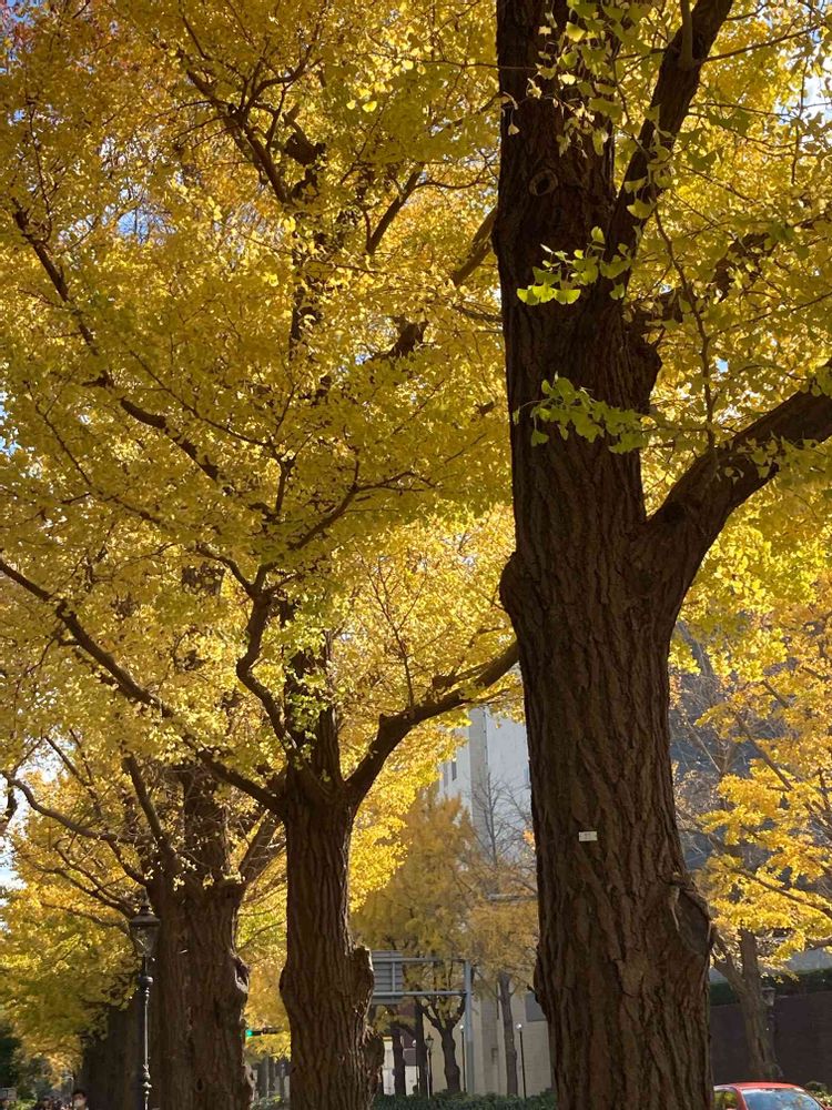 jutaさんの山下公園への投稿