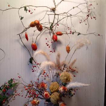 カラスウリの実の画像 by のぶこさん | インテリアと生け花のある暮らしと沖縄 スズメウリとお花に癒されてと花のある暮らしとカラスウリの実