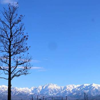 立山の画像 by ゆうみさん | お出かけ先と山風景と樹木と青空と…と枯れの美と立山