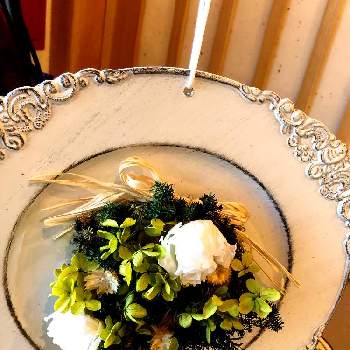 花のオブジェの投稿画像一覧 Greensnap グリーンスナップ