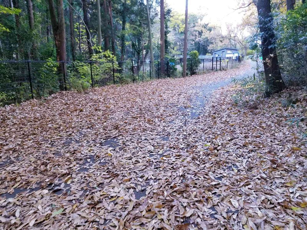 エリィさんの里山ガーデン（大花壇）への投稿