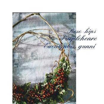 キウイの蔓の画像 by 紫陽花さん | 部屋と孔雀檜葉とユーカリグニー✨と花のある風景と咲いてくれてありがとう❤とローズヒップ*と出会いに感謝♡とフレッシュクリスマスリースと花のある暮らしとクリスマスリースとキウイの蔓
