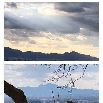 山の辺の道の画像 by さくらさん | お出かけ先と⬇️二上山と桜の老木とドライブと冬間近と奈良県と山の辺の道