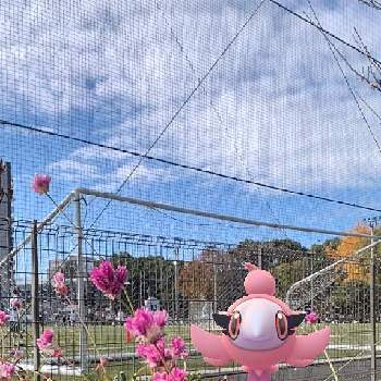 鶴舞公園の画像 by tsukumonasuさん | センニチコウと鶴舞公園