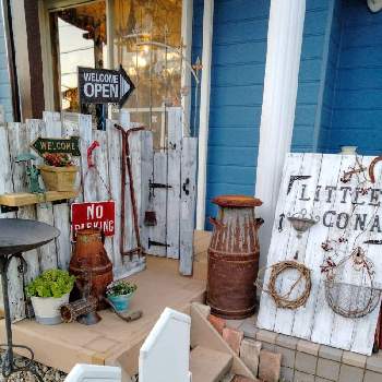 自宅ショップの投稿画像一覧 Greensnap グリーンスナップ