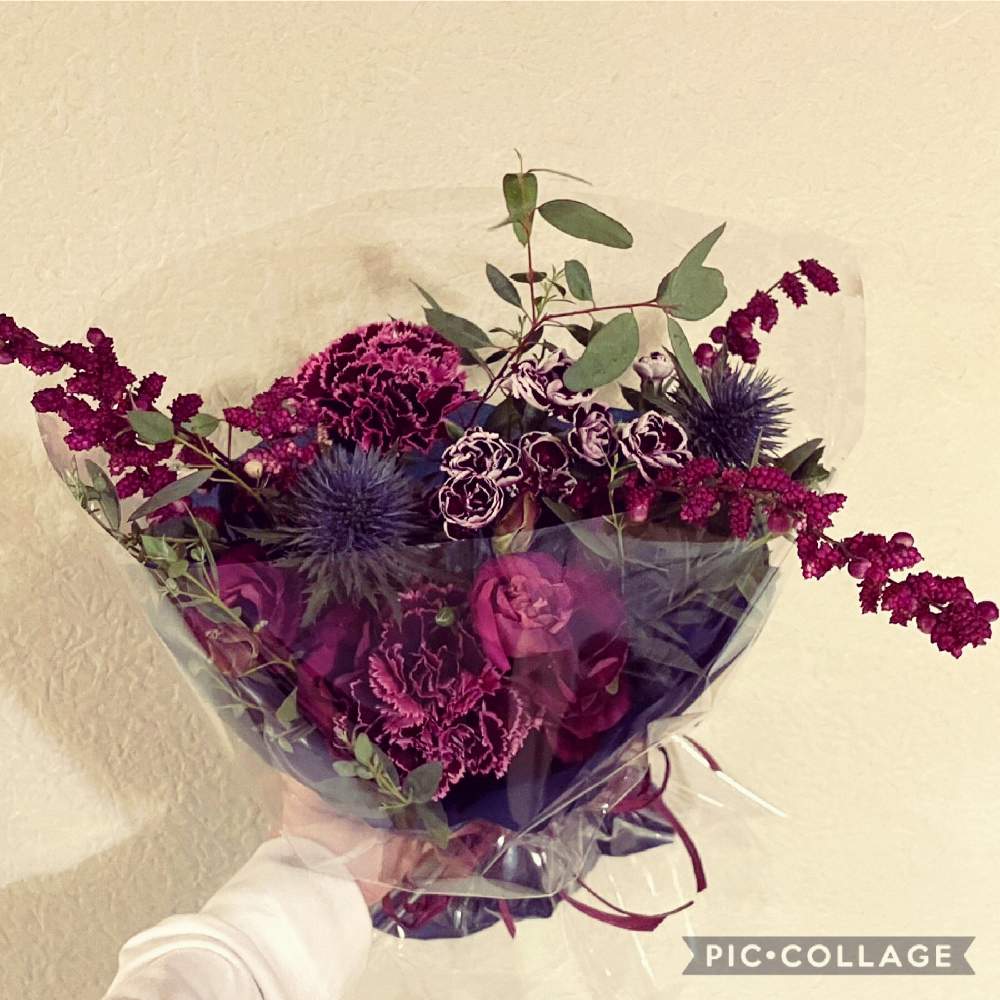 トルコキキョウの投稿画像 By ミーコさん マグネターとシンフォリカルポスとカーネーションとユーカリとスマホ撮影とベテラン乙女倶楽部と花友さんに感謝 と部屋とスマホ撮影とベテラン乙女倶楽部と花友さんに感謝 21月12月6日 Greensnap グリーンスナップ