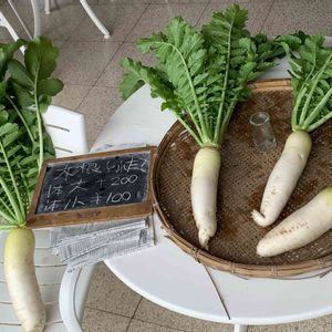 冬野菜,畑の画像