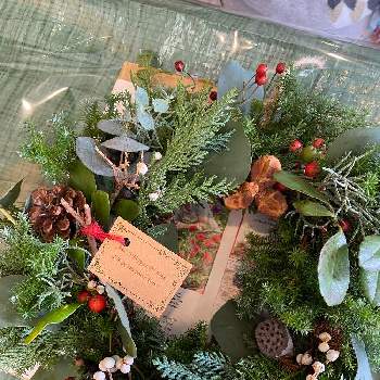 親子で楽しむの画像 by GAROTA’sさん | 親子で楽しむと植物のある暮らしと暮らしに植物をと癒しとお誘いと花いろいろと花のある暮らしとwreathとクリスマスリースとワークショップ とクリスマス