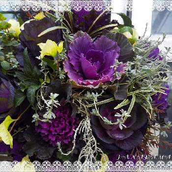 素敵なお花屋さんの画像 by hanahamaさん | ハボタンと花のある生活と感謝と祈りと今日のお花と素敵なお花屋さん