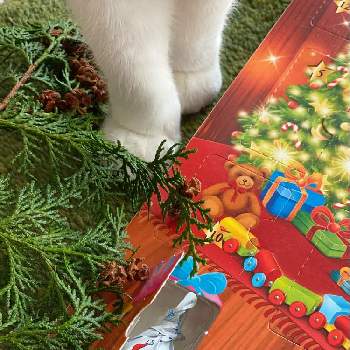 エバーグリーンの画像 by petitcoeur4さん | ネコのいる暮らしとアドベントカレンダーとアドベントとネコ好きと横浜とねこ愛が止まらないとエバーグリーンとネコと植物とネコとクリスマスとヒノキ科