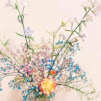 カスミソウ,デルフィニウム,花束 ブーケ, デルフィニウム,部屋の画像