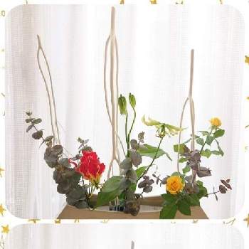 エールの画像 by きこちゃんさん | 窓辺とグロリオサとユーカリとミニバラとサラシミツマタといけばなと花のある暮らしとエールと感謝❤️