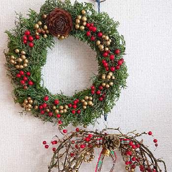 サンキライのリースの投稿画像一覧 Greensnap グリーンスナップ