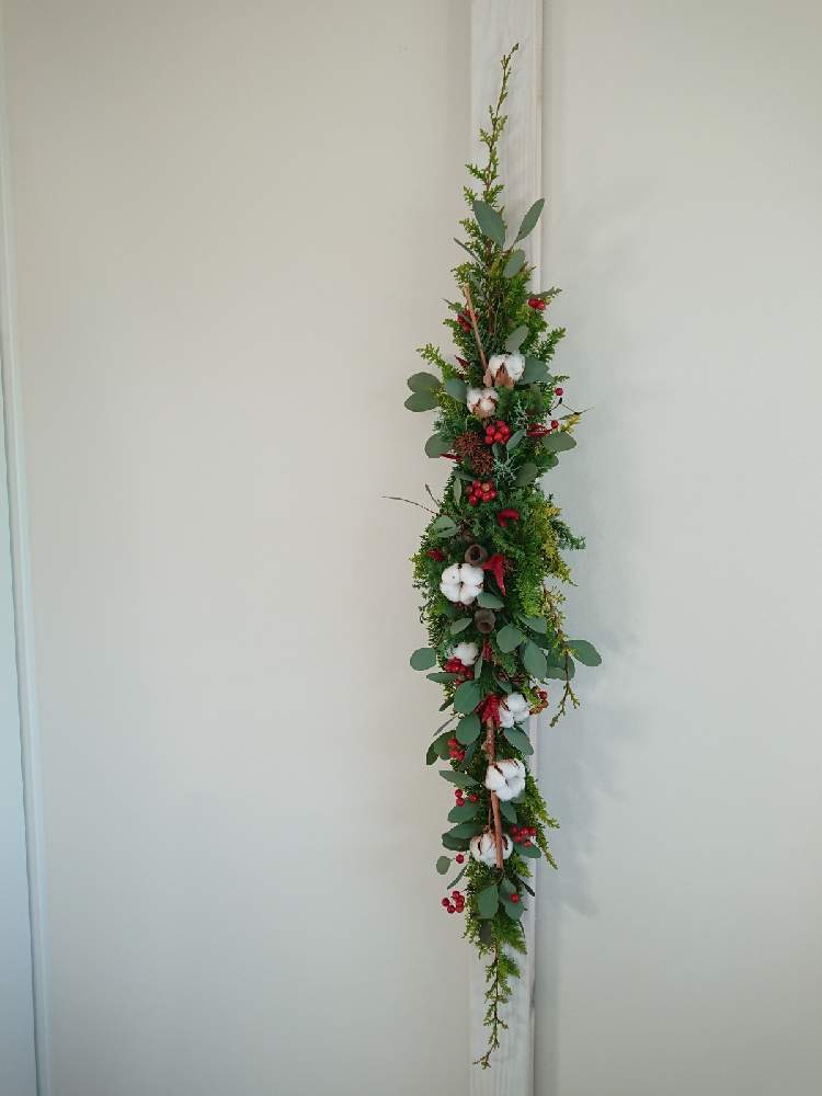 玄関の投稿画像 By ころん花さん ドライフラワーのある暮らしと花のある生活とフレッシュクリスマスリースと花好きな人と繋がりたいとクリスマスアレンジと ドライフラワーのある暮らしと花のある生活とフレッシュクリスマスリースと花好きな人と繋がりたいとクリスマス