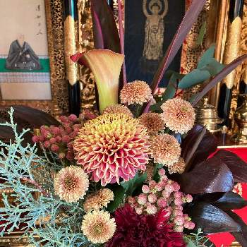 オトナ色の画像 by モネ柴さん | 和室と花のある暮らしと今日のお花とオトナ色と仏様の花