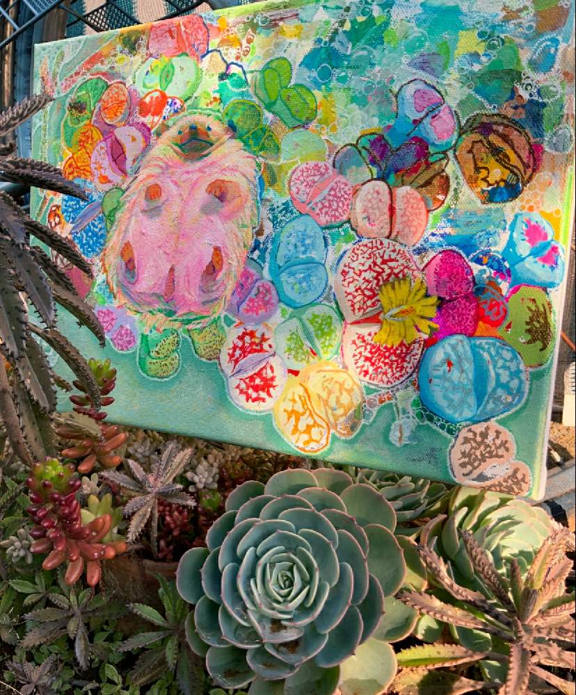 小さな庭の画像 by SHUKI(STSN)さん | 小さな庭と多肉植物いろいろと多肉植物のある暮らしとSHUKI絵画
