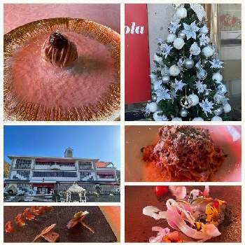 エディブルフラワー,クリスマスツリー♡,癒しの色,観光地,お気に入り♡の画像