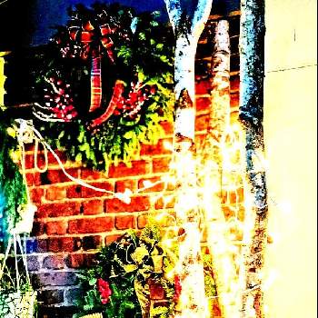 フレッシュクリスマスリースの画像 by coroloveさん | お出かけ先とクリスマスイルミネーションとフレッシュクリスマスリースと心安らぐ色♡と赤い実とチーム海外と安らぐ〜^o^と松ぼっくり☆と生のコニファー