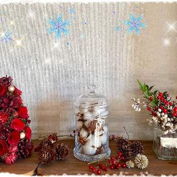 ナンキンハゼ 実の画像 by こつぶさん | 棚と南天ナンテンとナンキンハゼ 実と木の実と自己満足とかわいいとクリスマス