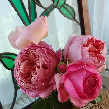 良い香り♡の画像 by monchanさん | 窓辺と薔薇と綺麗ですよ❗️とばら バラ 薔薇と良い香り♡と頂き物♡と秋薔薇