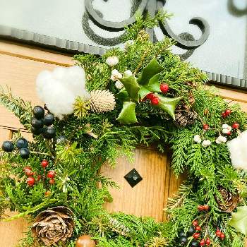 フレッシュクリスマスリースの画像 by しろさん | 玄関と実ものとフレッシュクリスマスリースともみの木。とリースと花のある暮らしとクリスマスリースとクリスマス