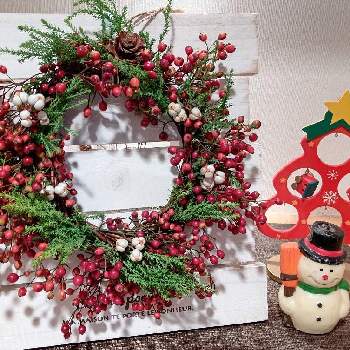 植物雑貨♪の画像 by natsumenobabaさん | 玄関と木の実のリースとクリスマスリースと植物雑貨と植物雑貨♪