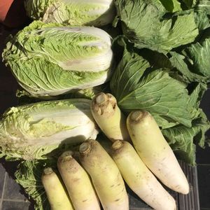 大根,キャベツ,白菜,頂き物,冬野菜の画像