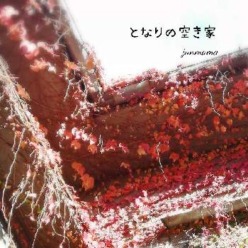 つた 蔦の画像 by junmamaさん | つた 蔦と紅葉（こうよう）と朝日を浴びてと隣の空き家