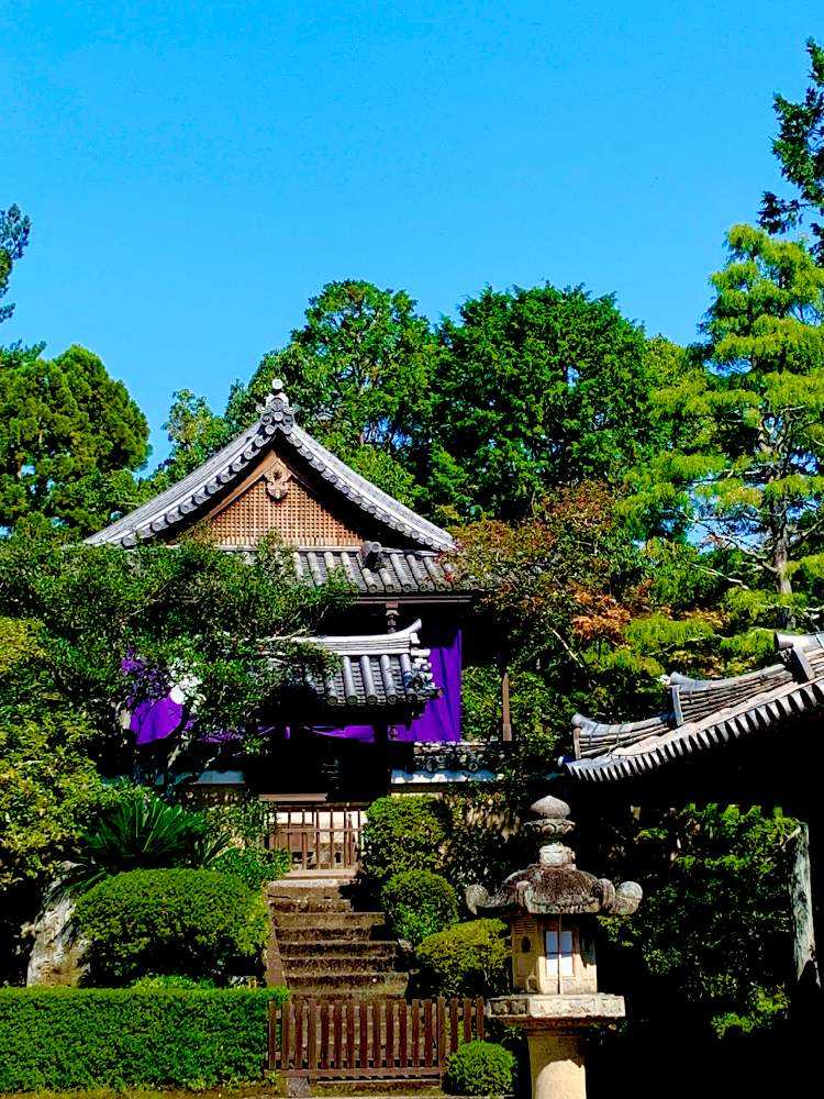 ⛩ 唐招提寺&東大寺&東山魁夷(2021.10.04)｜🍀GreenSnap