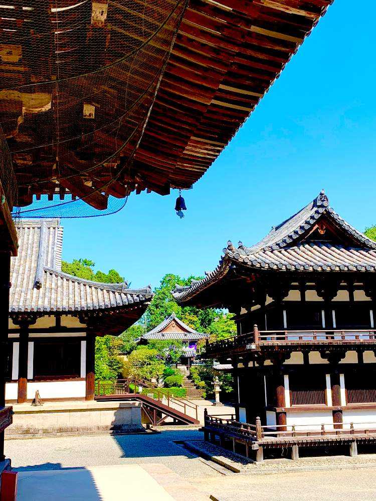 ⛩ 唐招提寺&東大寺&東山魁夷(2021.10.04)｜🍀GreenSnap（グリーンスナップ）