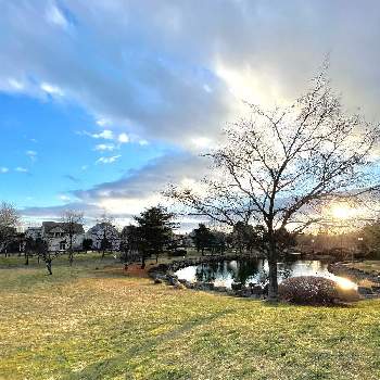 池のある風景の画像 by tomoさん | 公園散策と北海道からと恵庭市と森林浴と芝生広場と池のある風景と池のある公園といつもの公園