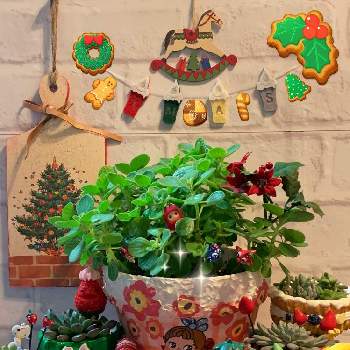 クリスマス雑貨の画像 by みたりんさん | トワさんのリメ鉢といちごちゃん手作りコルクベリーと手作り鉢とウキウキ❣️ルンルン倶楽部とアロマティスカスとクリスマス月間といちごちゃんのピックとyubaraさんのリメ鉢とGSのみなさんに感謝♡とGSミニモニ。とバラと夢CLUBとコロナおしりペンペン( ･᷄ὢ･᷅ )と手作りリメ鉢とクリスマス雑貨と毎月15日はいちごの日とクリスマスボードとチーム愛知と繋がりに感謝✨