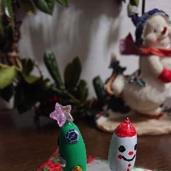 どんぐりアートの投稿画像一覧 Greensnap グリーンスナップ