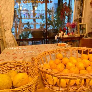保存食の画像 by na-chanさん | 部屋とレモンと柚子といつもありがとう♡と手作りのある暮らしとホットドリンクの素と日々の暮らしの中の幸せと幸せの香りと保存食と柑橘とゆず茶と柚子仕事