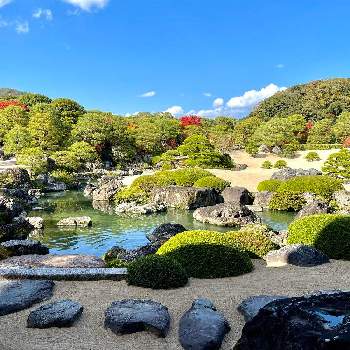 秋色の画像 by magicalさん | お出かけ先と足立美術館と日本庭園とガーデニングと庭園と秋色