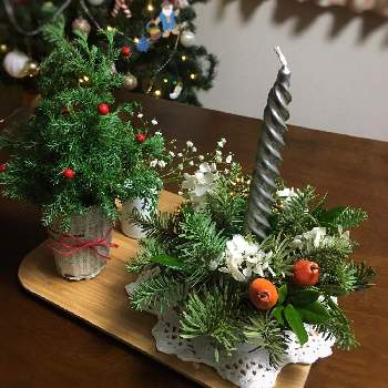 モミの木の画像 by りりこさん | 部屋とモミの木とサツマ杉と手作りとクリスマスアレンジとキャンドルアレンジ