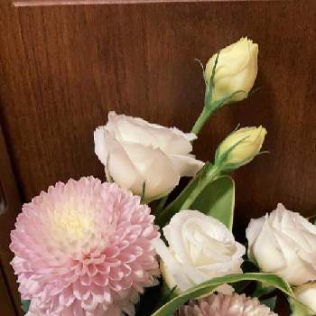 トルコ桔梗の画像 by matsuさん | ピンポンマムとカーネーションとトルコ桔梗と日本とカーネーション。とお供えの花とトルコ桔梗。とホームと花いろいろとピンポンマム✿と花束