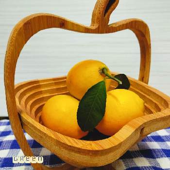 レモン色の画像 by ＊green＊さん | マイガーデンとレモン色とレモンの香りとレモンの木と花のある暮らしと良い香り
