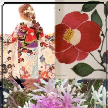 凛としての投稿画像一覧 Greensnap グリーンスナップ 凛としての投稿画像一覧 Greensnap グリーンスナップ