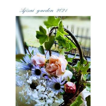 ラマリエの画像 by 紫陽花さん | 部屋と花のある風景と咲いてくれてありがとう❤と出会いに感謝♡と薔薇・ブルームーンと花のある暮らしと薔薇 ラマリエとラマリエとアナベル漂白とアークトチスグランディス♪