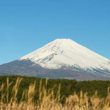 今日の富士山の画像 by ブルーフェアリーさん | 今日の富士山と静岡県と御殿場市